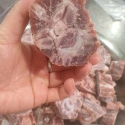 羊蝎子