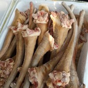 驴尾