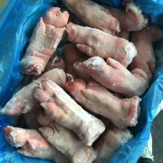 西班牙655猪手