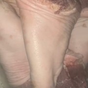 母猪手挣