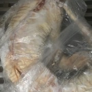 商品鳄鱼肉