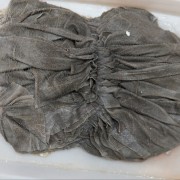 鲜牛百叶