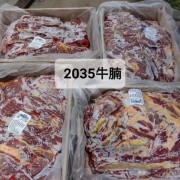 2035胸腩连体