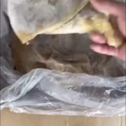 788牛肚