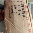 无耳头