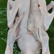 狮头鹅肉