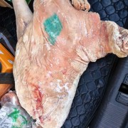 带皮羊清真