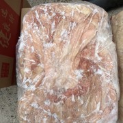 一级生大肠