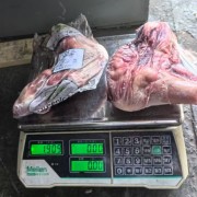 82厂乳牛腿