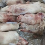 肥猪二级猪蹄