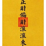 709母猪一号肉