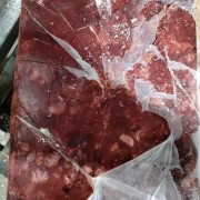 鸡肺