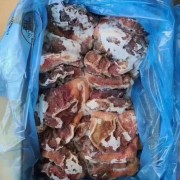 进口猪肚