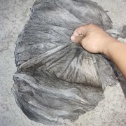 牛百叶