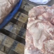 母猪4号肉