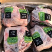 26厂羔羊四分体