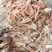 俄罗斯091凤爪