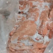 猪肺