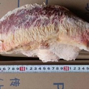 1265胸口油