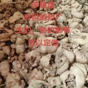 熟羊胎盘