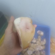 烧好洗好脚圈