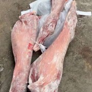 612山羊胴体