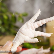 巴西凤爪