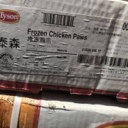 泰森凤爪
