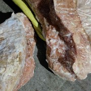牛肺、牛奶肉