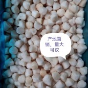 扇贝丁