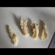熟去骨鸡爪