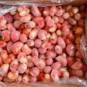 龙虾尾