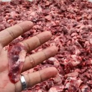 腰子下脚料