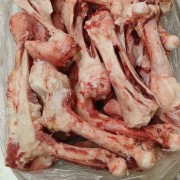 母猪腿骨