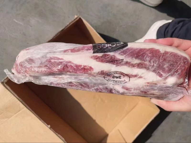 牛双层YP后胸 262厂