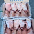 千喜鹤前肘9支