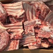 8厂羔羊槽骨