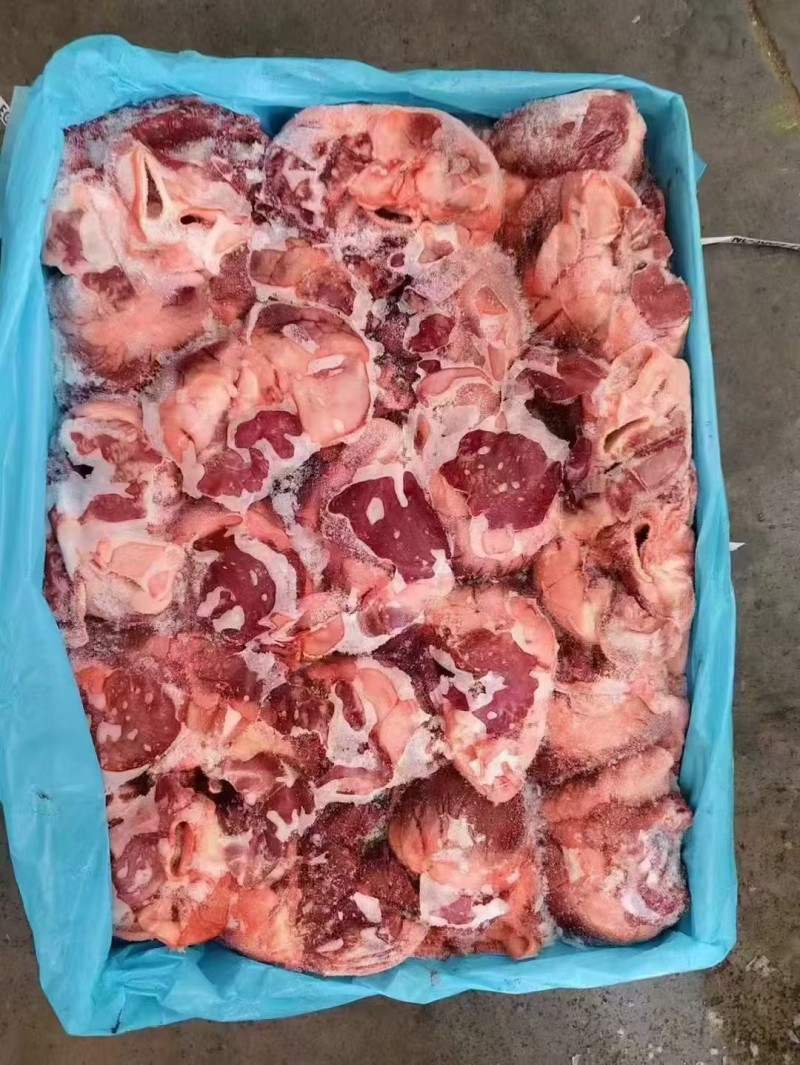 猪心 3603厂