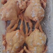 肉鸡白条