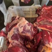 去骨全牛