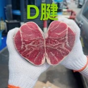 澳洲203腱
