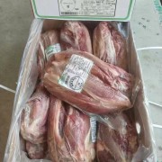 93前腱