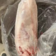 卧式羊