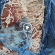猪毛排
