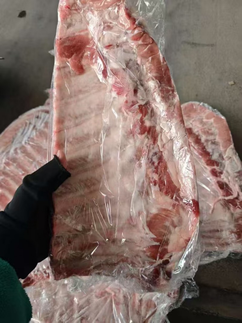 猪肋排 709厂