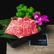203牛脂肪胸骨