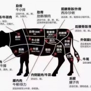 牛脂肪