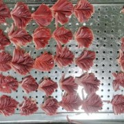 纯手切鸭胗花