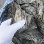盐干百叶