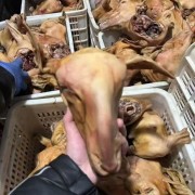 火烧羊头